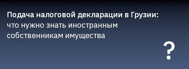 Подача налоговой декларации в Грузии: что нужно знать иностранным собственникам имущества