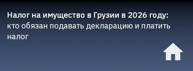 Налог на имущество в Грузии в 2026 году: кто обязан подавать декларацию и платить налог