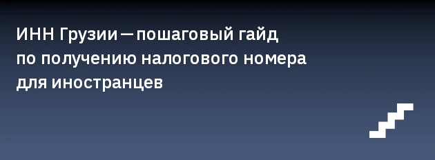 ИНН Грузии — пошаговый гайд по получению налогового номера для иностранцев